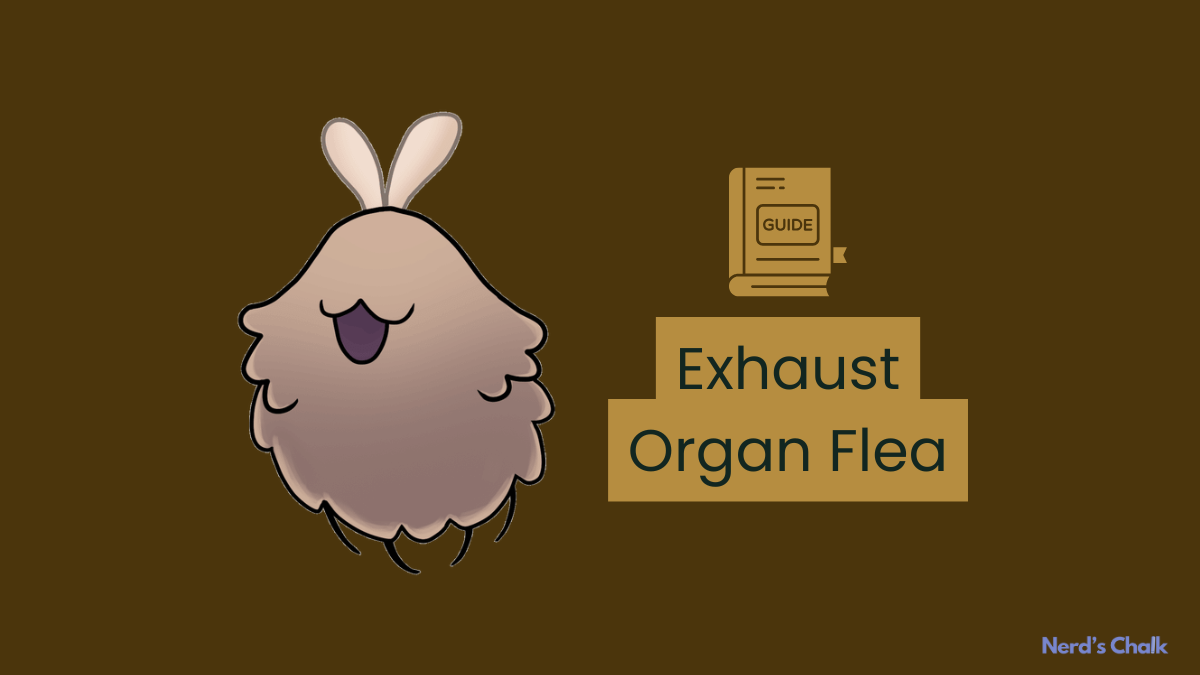 Hollow Knight: Silksong Exhaust Organ Flea Guide: Map, Location, Rewards, and More