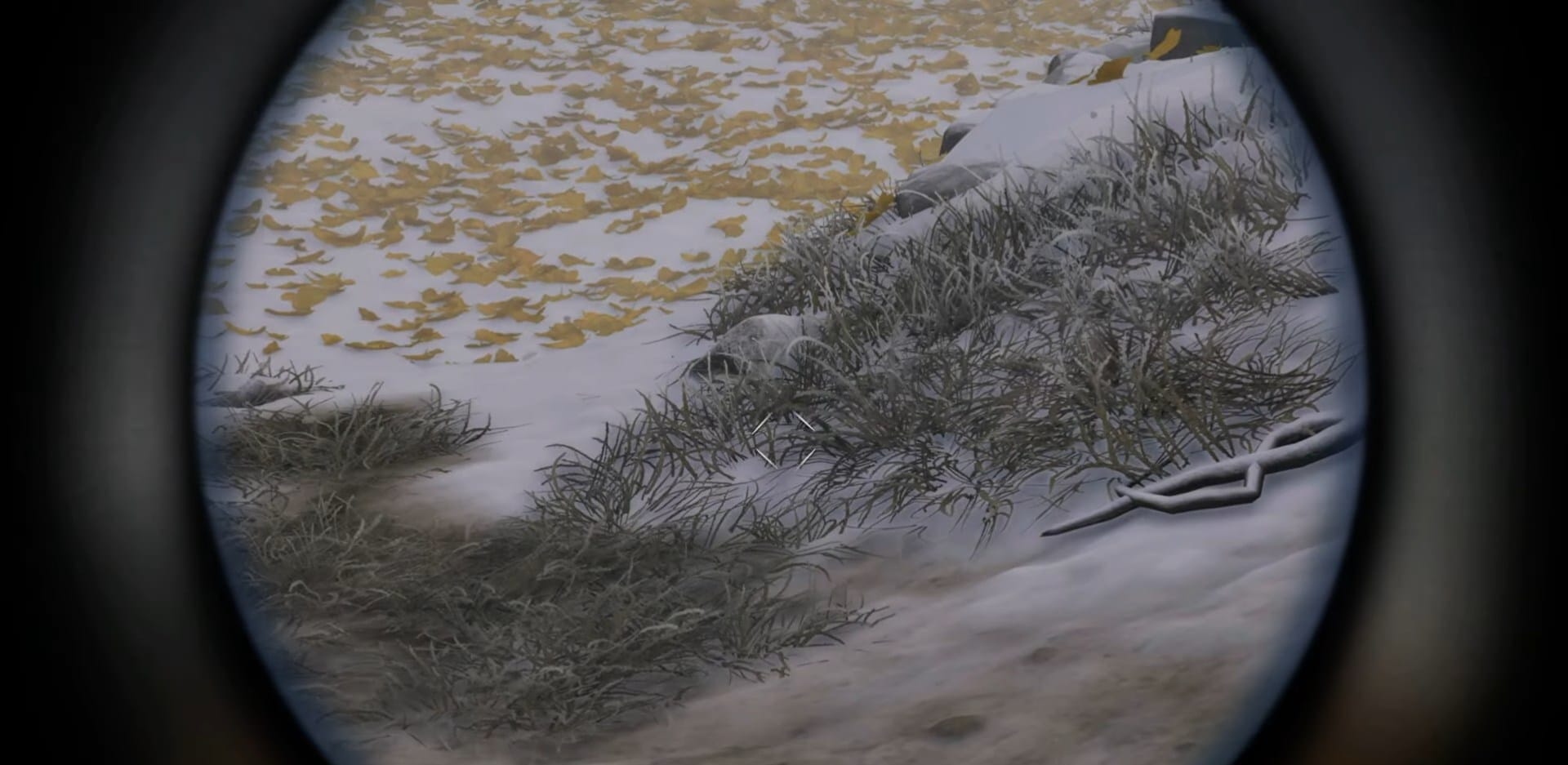 Your Guide to Sakuru Woods in Ghost of Yotei