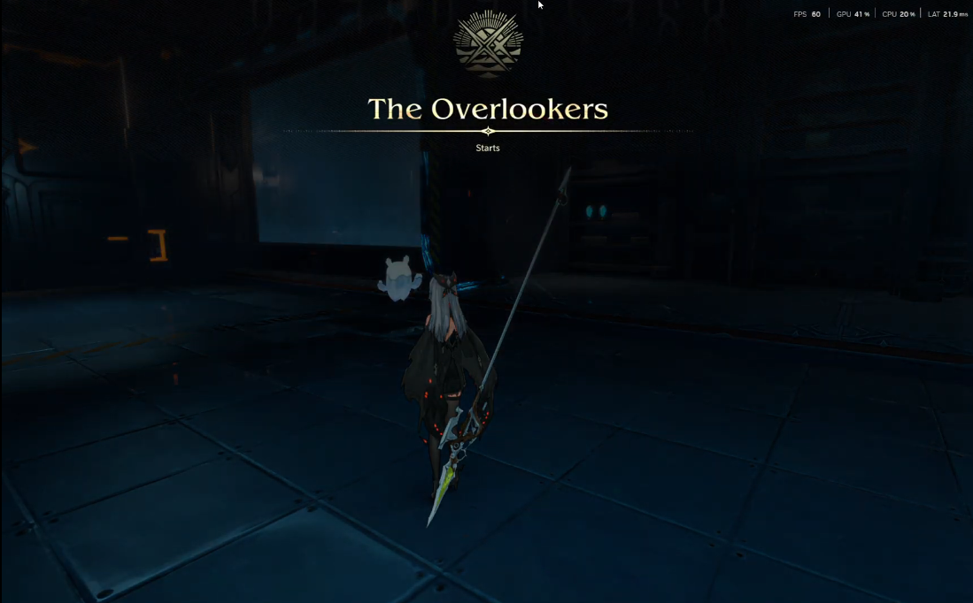 The Overlookers Walkthrough - Duet Night Abyss