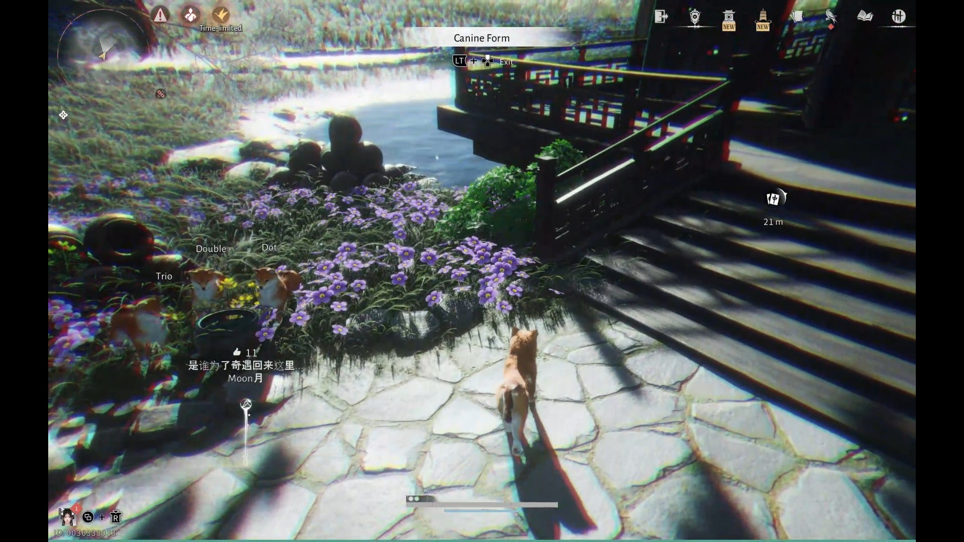 How to Become a Dog in Where Winds Meet - Life Goes to Dogs Achievement