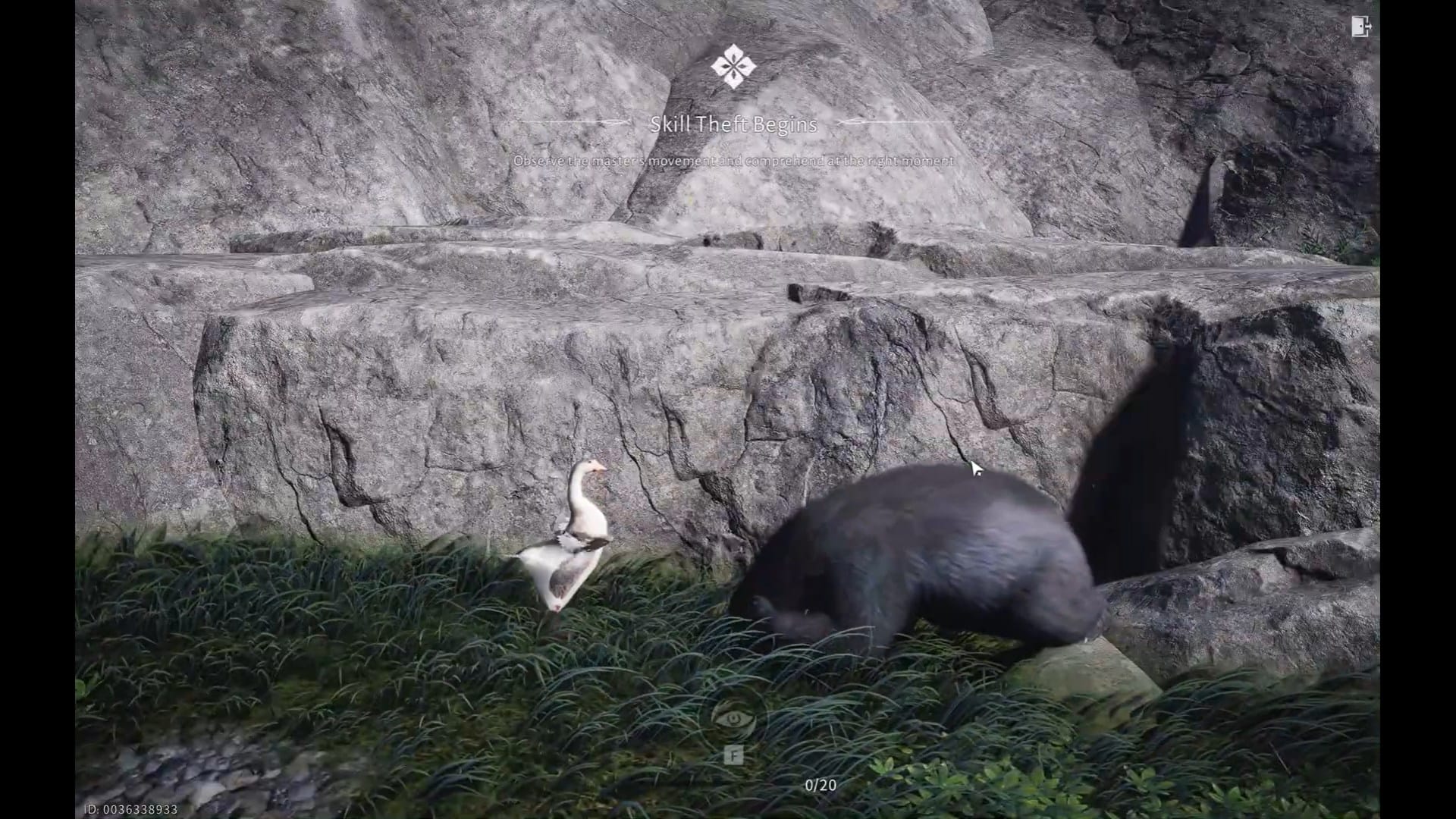 White Browed Goose: Where Winds Meet Guide