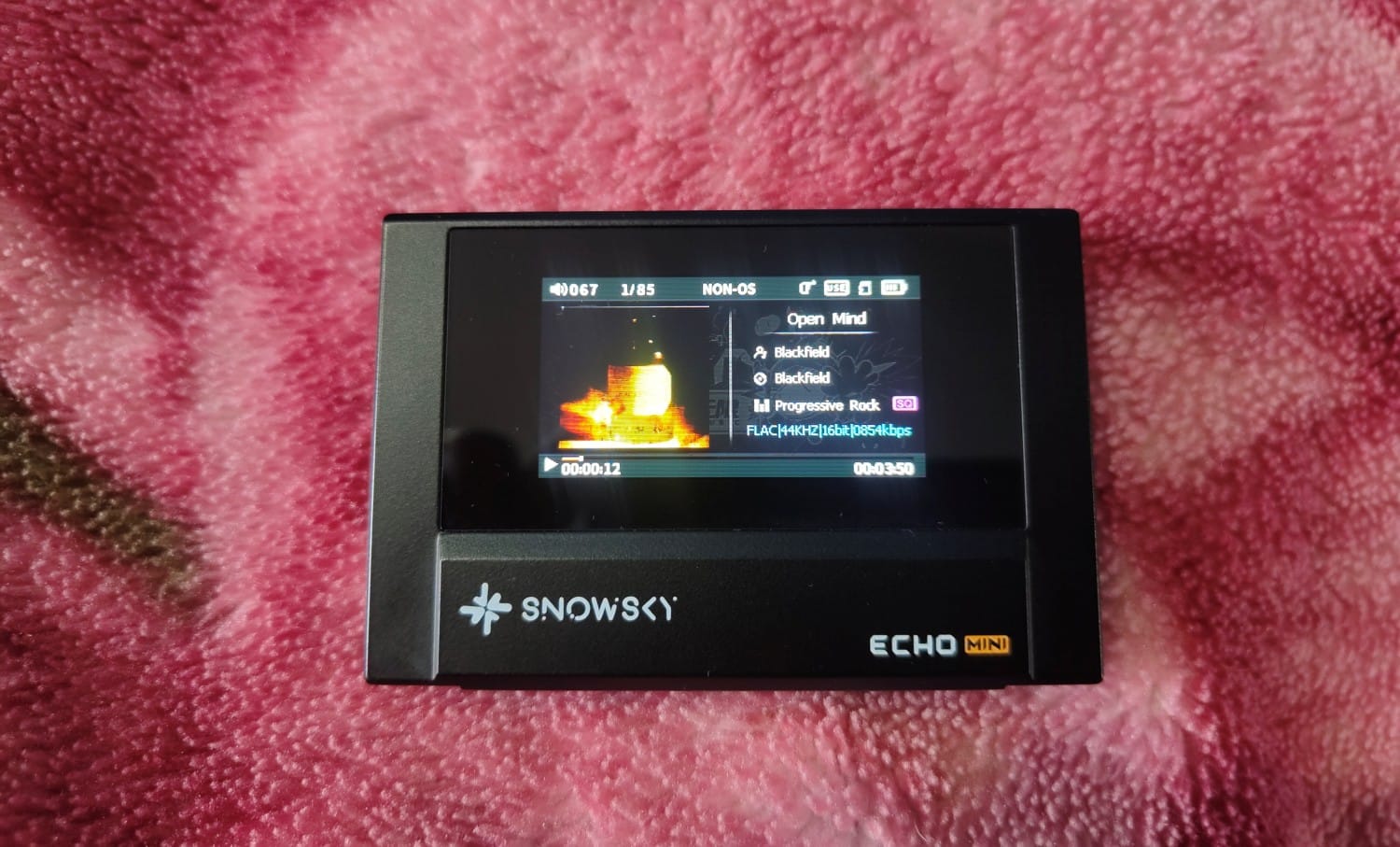 Snowsky Echo Mini Review: A Return to Digital Audio Players