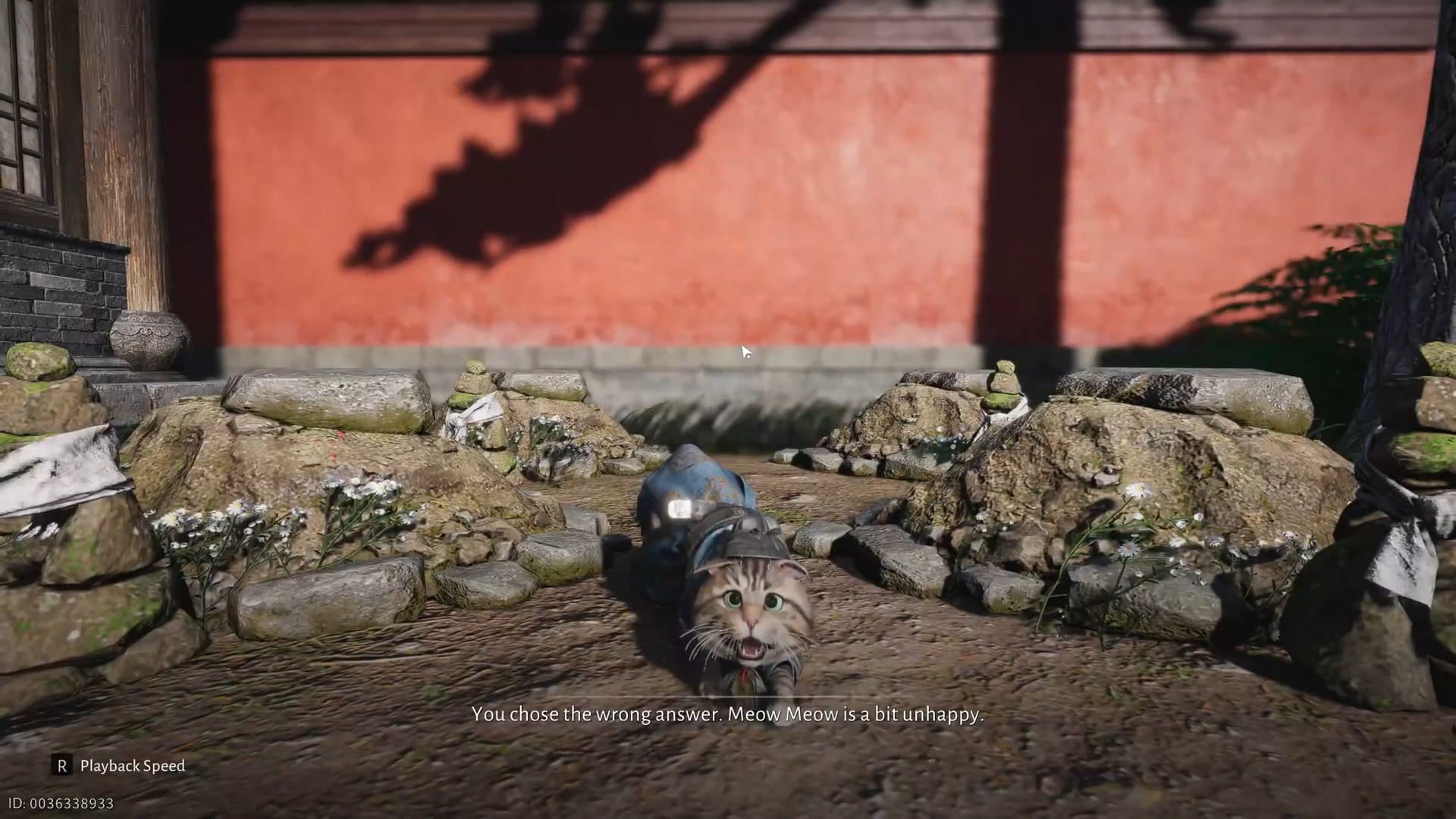 Meow Meow Riddle - Where Winds Meet