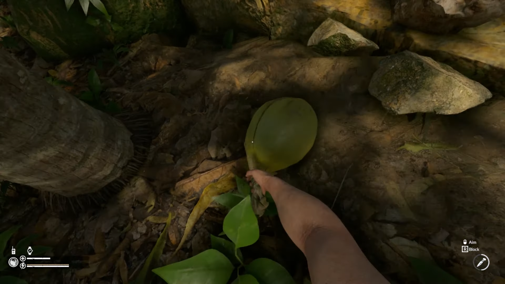 How to Get and Use Bidon in Green Hell