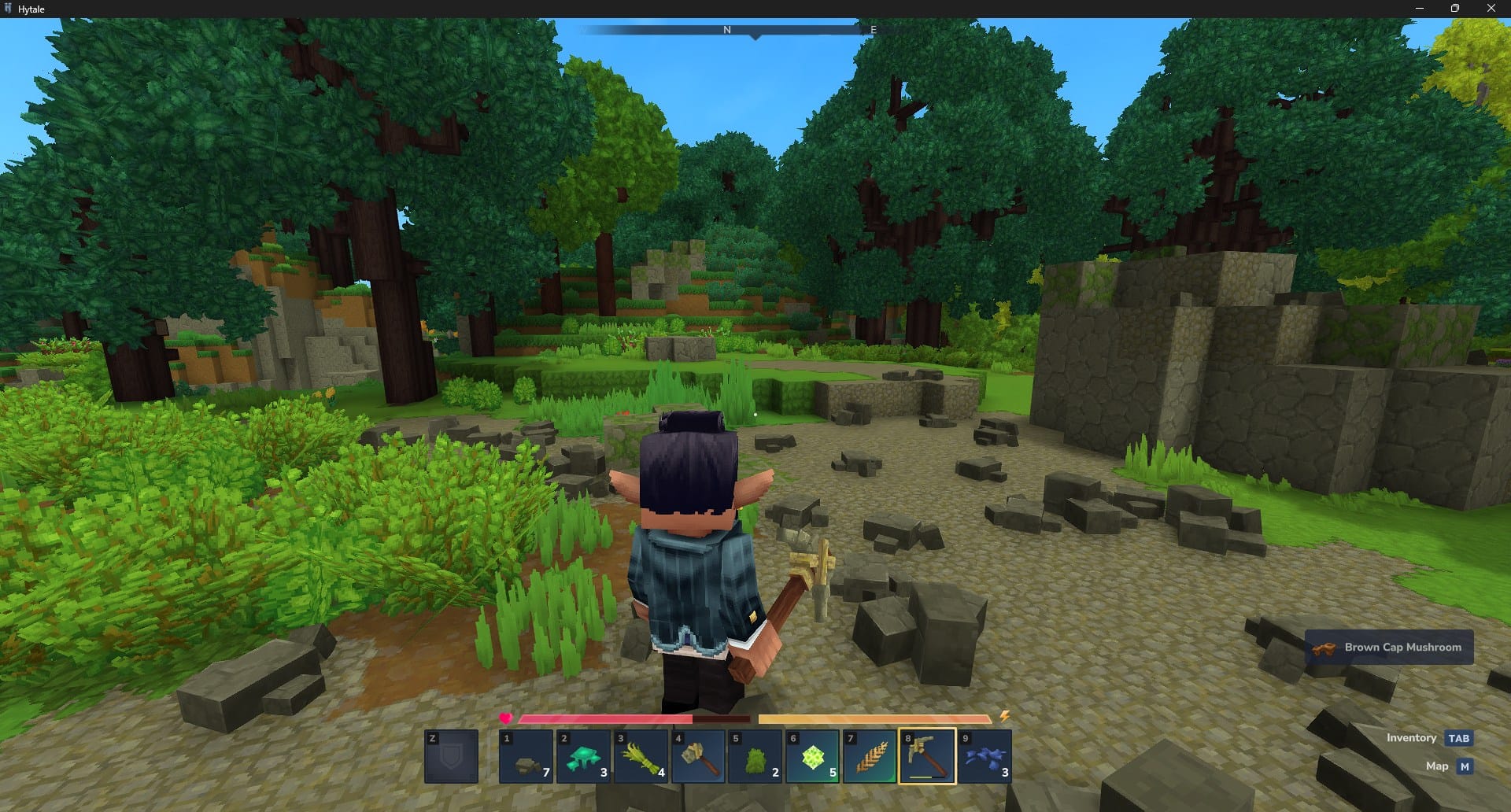 How to Enter Diagnostic Mode in Hytale