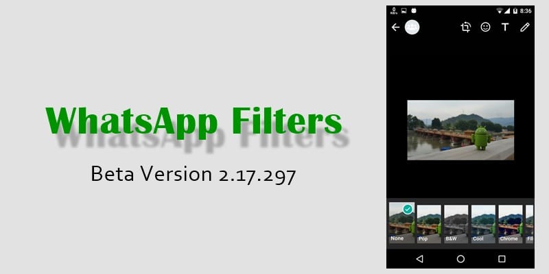 WhatsApp beta update brings photo filters