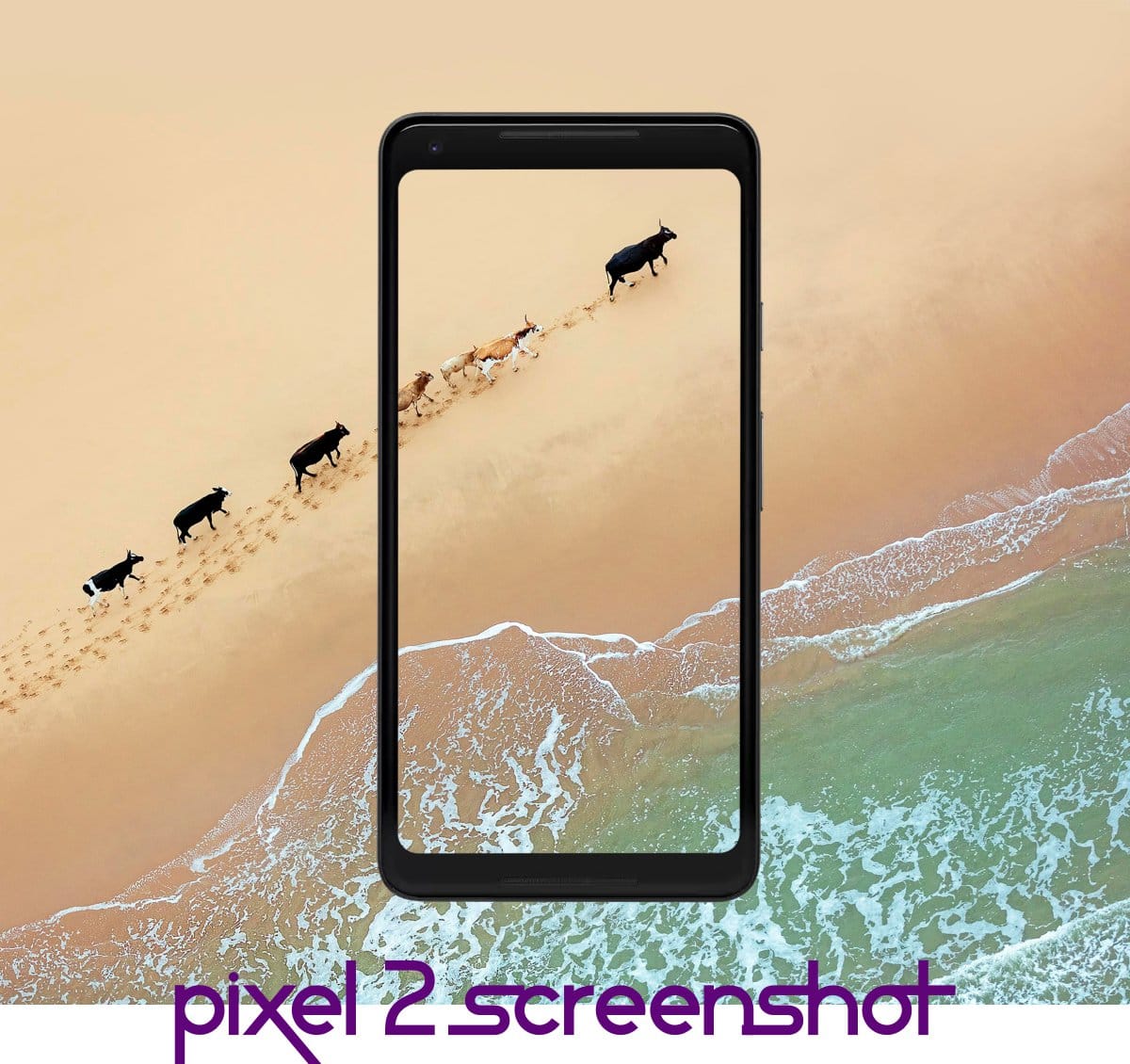 How to take a screenshot on Pixel 2 and Pixel 2 XL