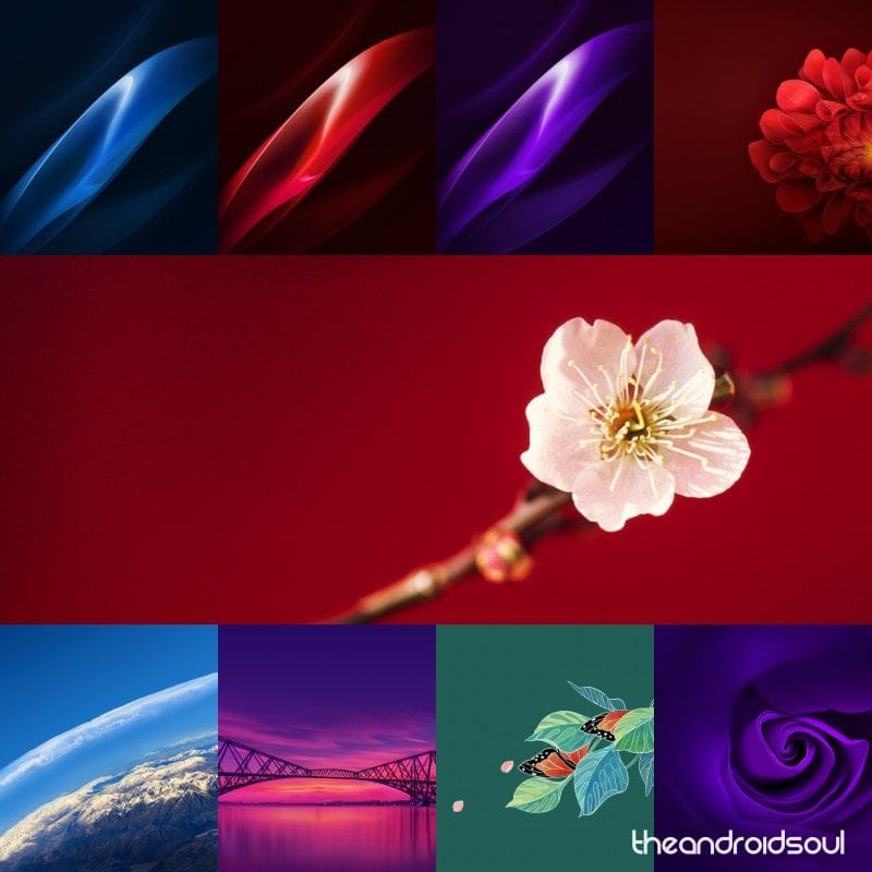 Download Oppo R15 stock wallpapers