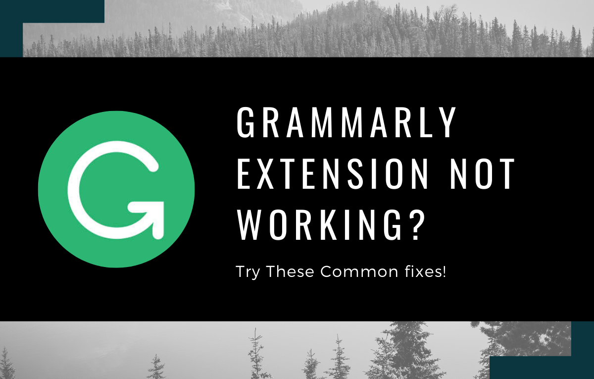 Grammarly Chrome extension not working? Try these common fixes!