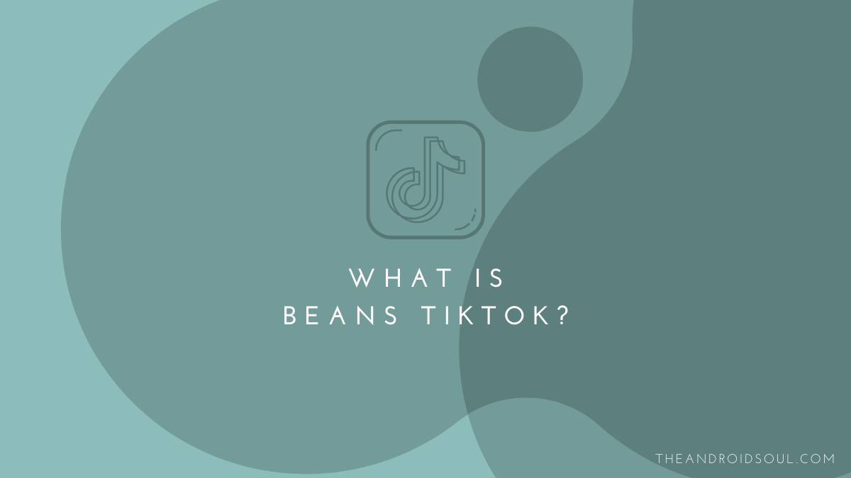 What is Beans TikTok?