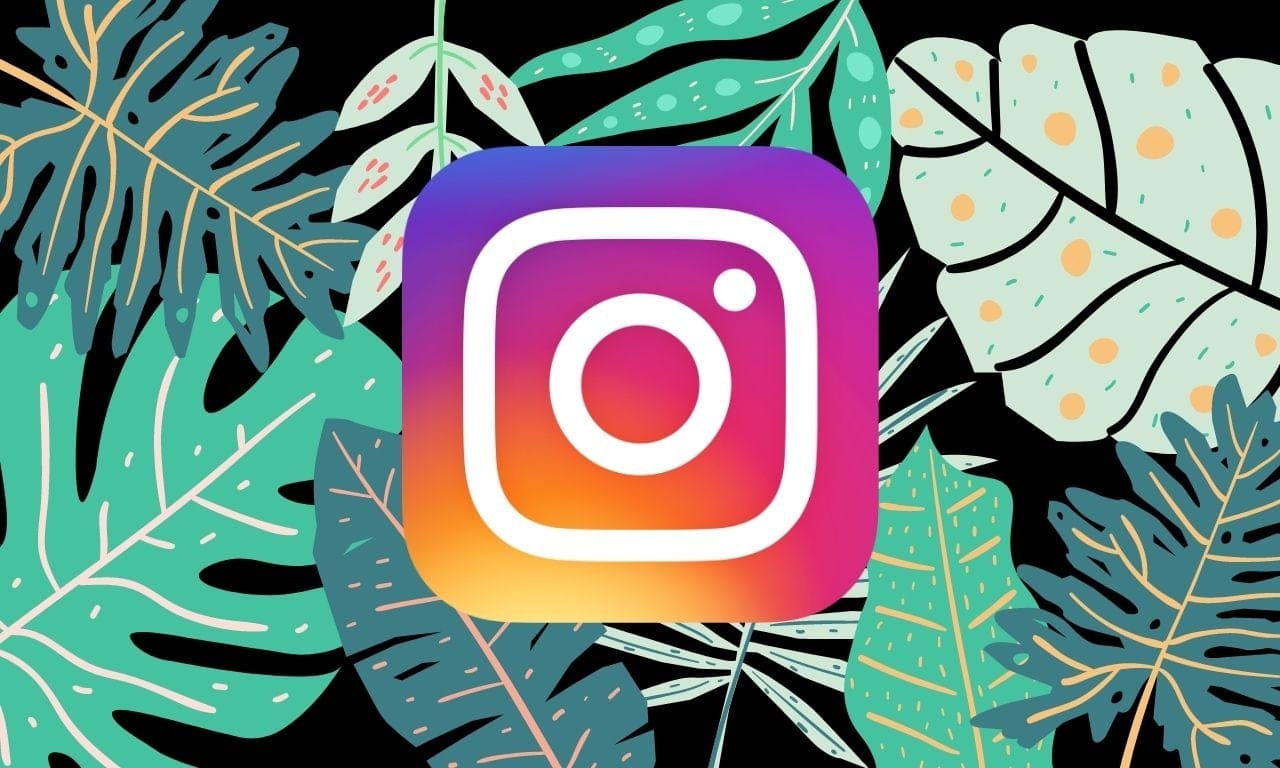 How to Save or Download Instagram Reels to Your Phone Gallery, Camera Roll or Storage