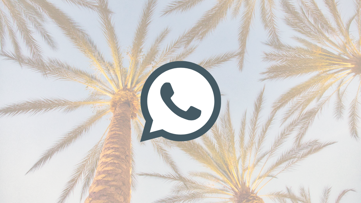 What Is WhatsApp Vacation Mode And How To Get It?