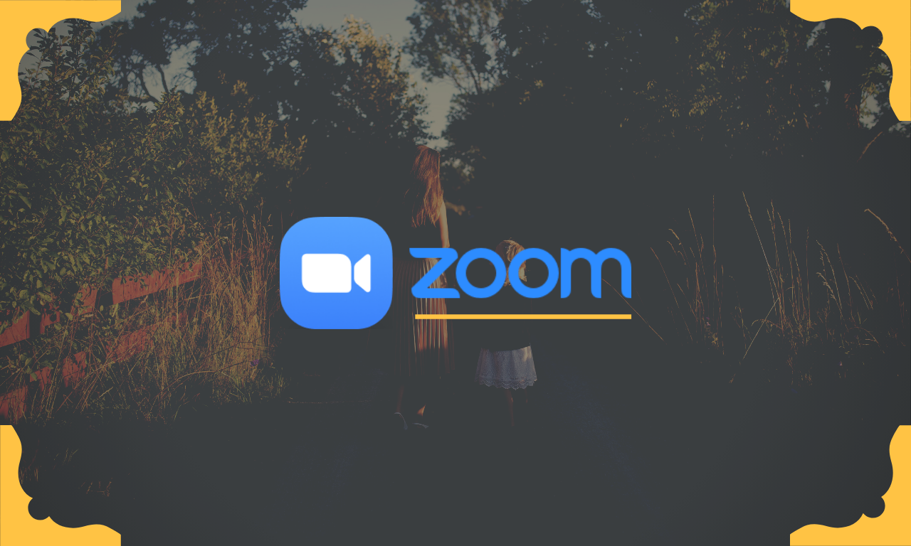 Zoom Error Code 3113: How To Fix the Issue