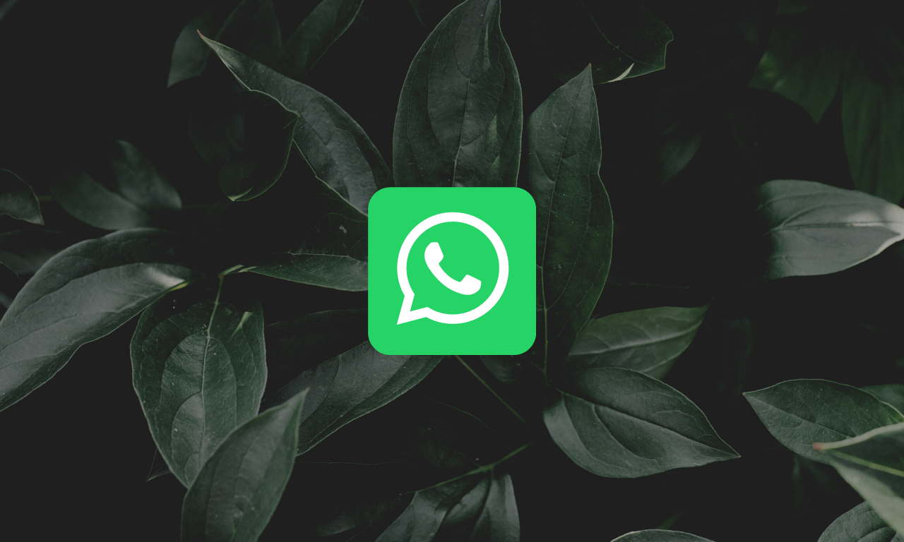 What Are Disappearing Messages in Whatsapp?