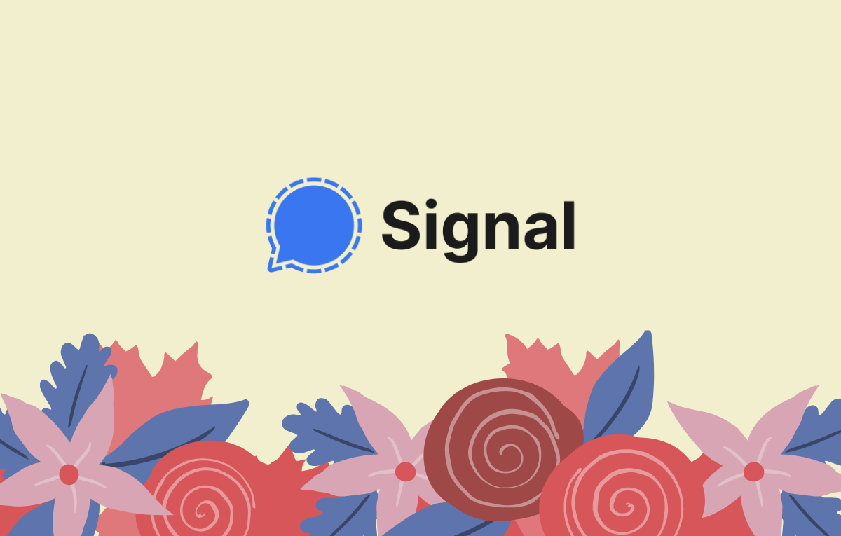 Is Signal Really Safe and Secure?