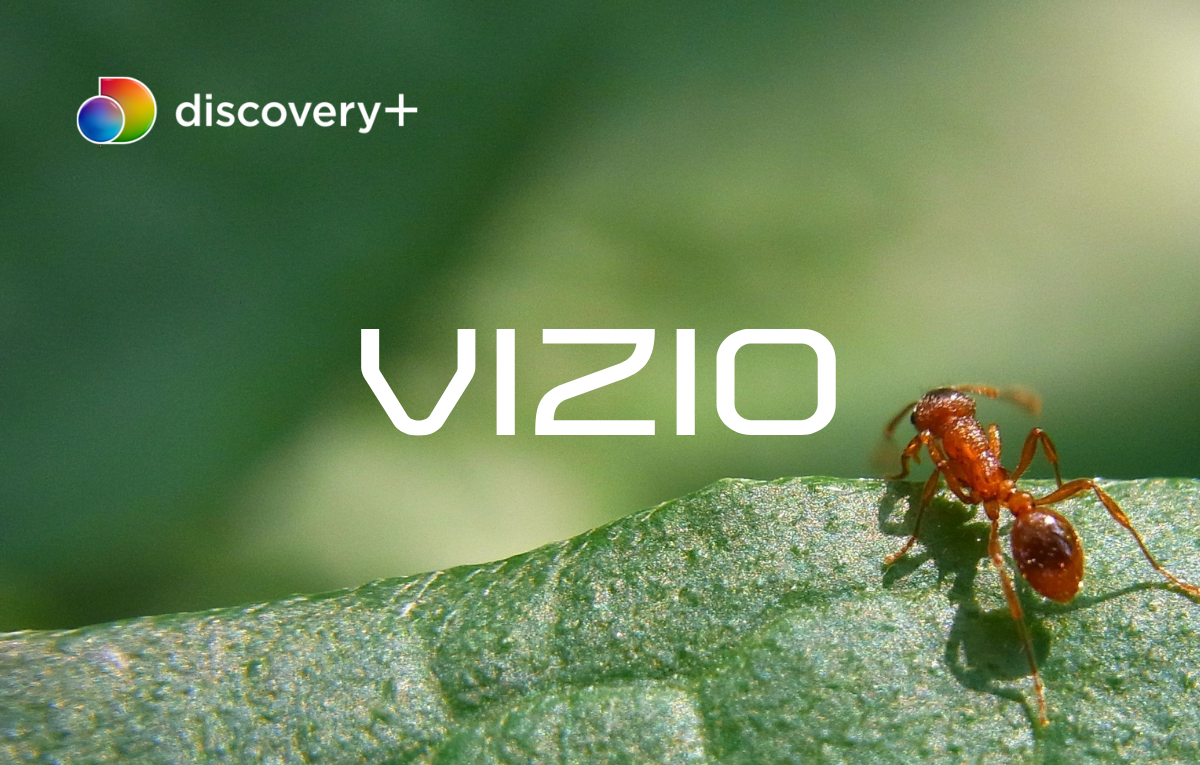 How to Watch Discovery Plus on Vizio Smart TV