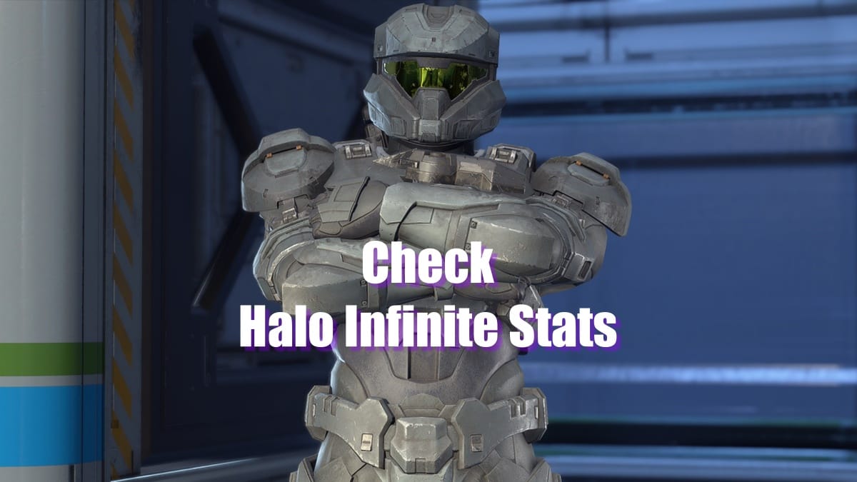 How To See Halo Infinite Stats and K/D Ratio in 2 Ways