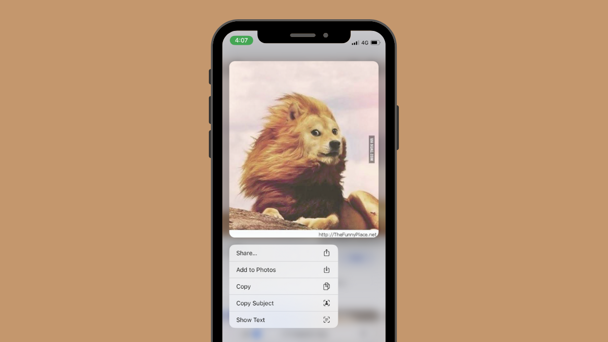 iOS 16 Photo Cutout: Top 6 Ways to Create a Cutout and 4 Ways to Paste and Use it