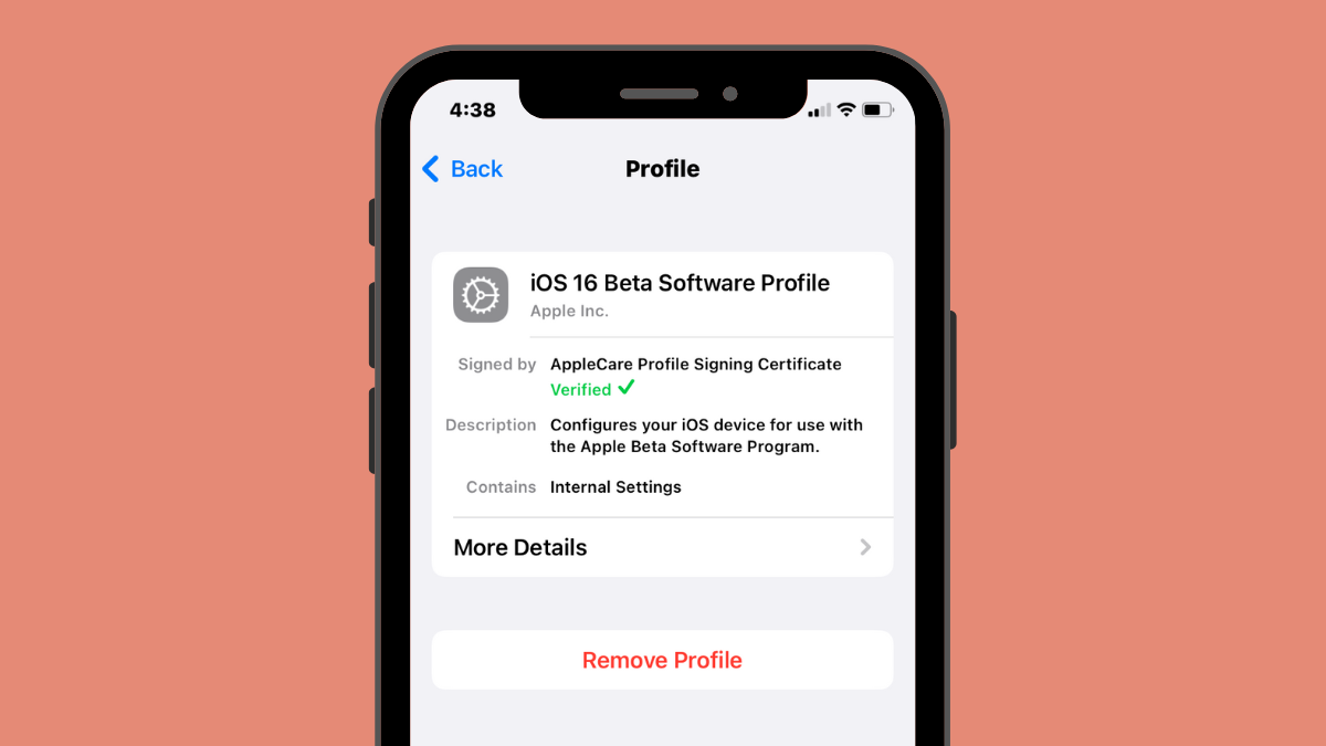 How to Remove iOS 16 Beta Without Computer: Guides and Details You Need to Know