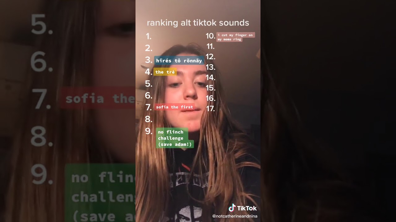 Alt TikTok Quiz   How many can you get?