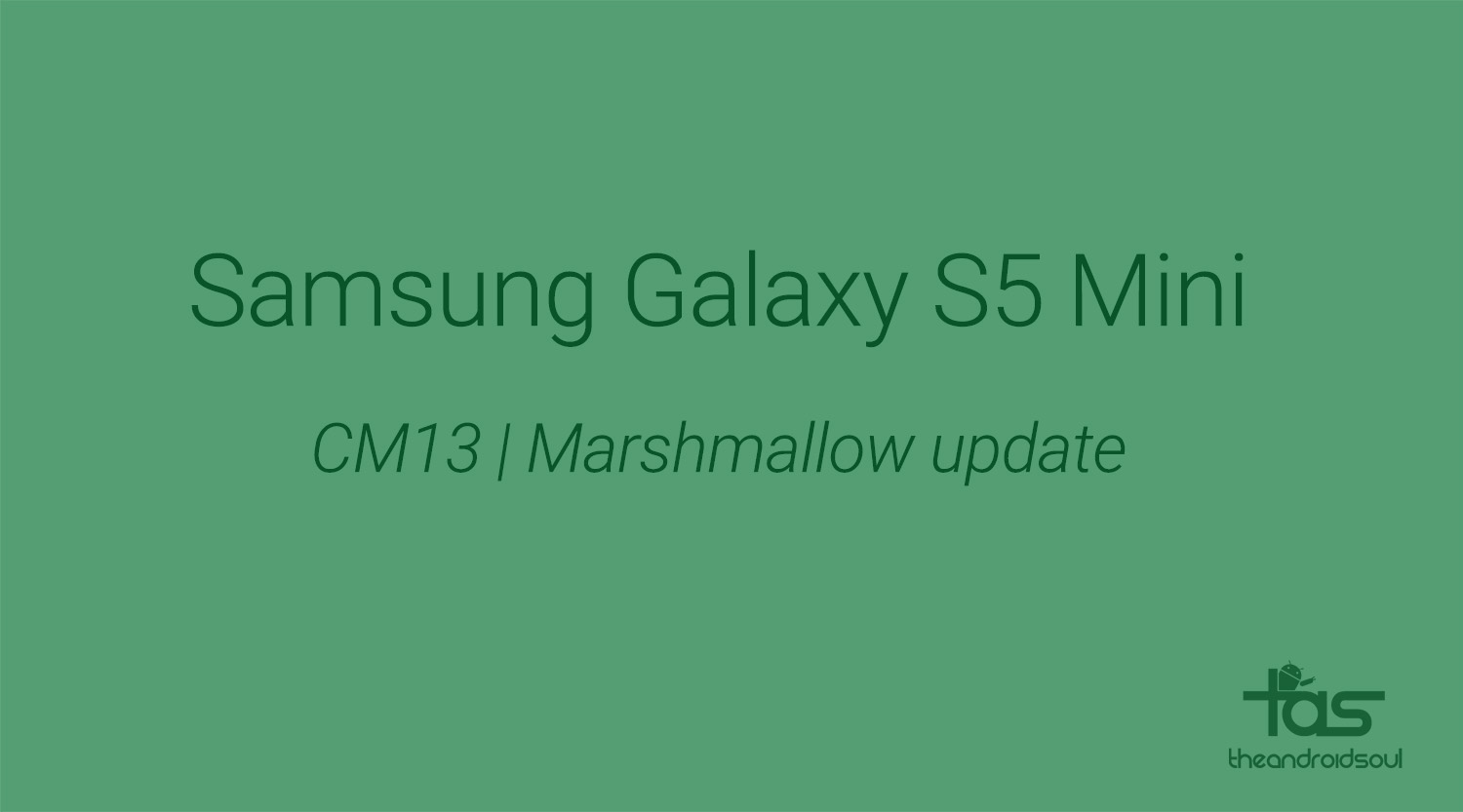 S5 Mini Update Marshmallow