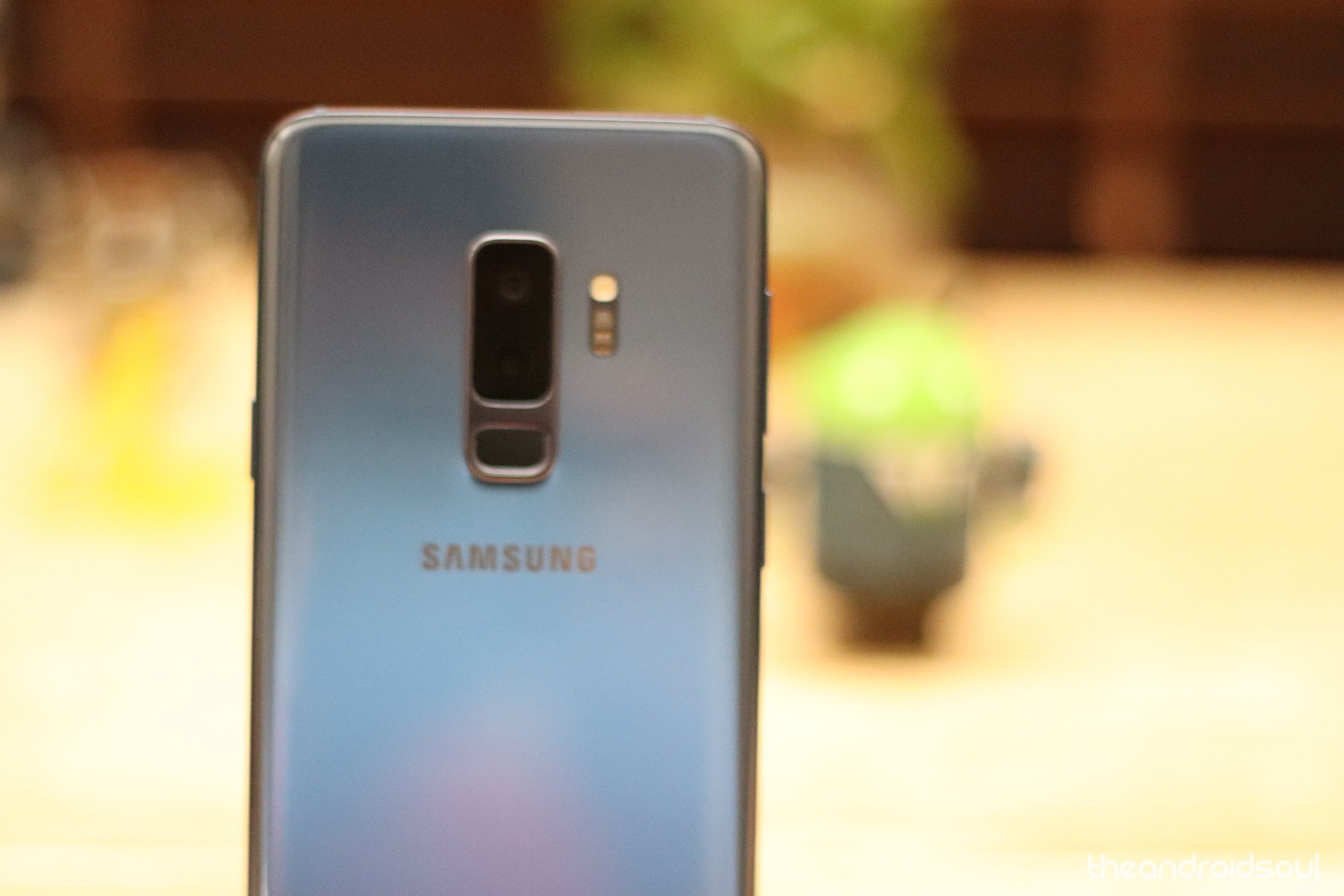 Samsung Galaxy S9 Plus Android Q update