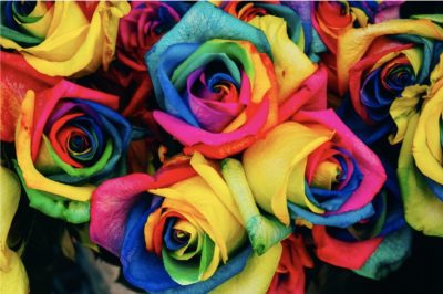 Photoshop Blending Modes Explained - Dyed Roses