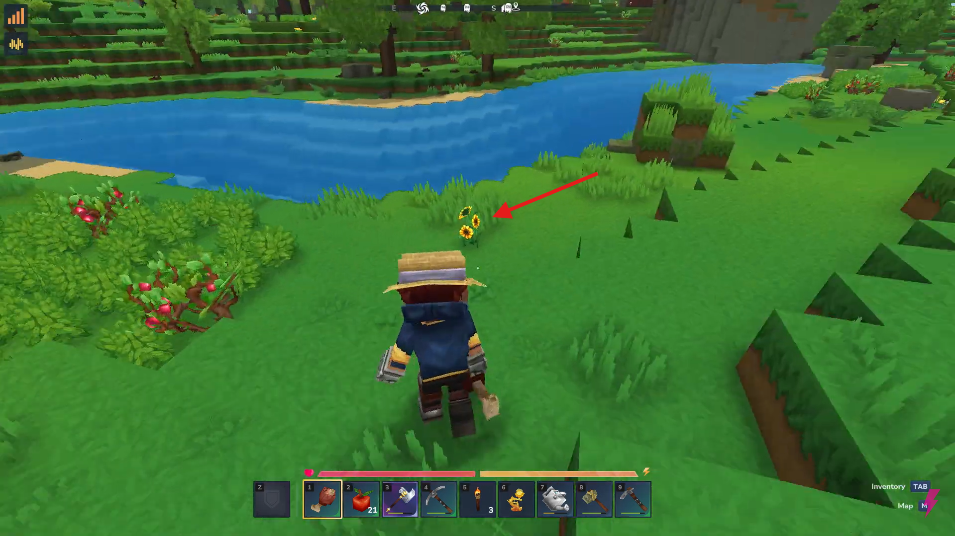 Sunflower location. Image credits: Hypixel Studios / YouTube: Answer ASAP