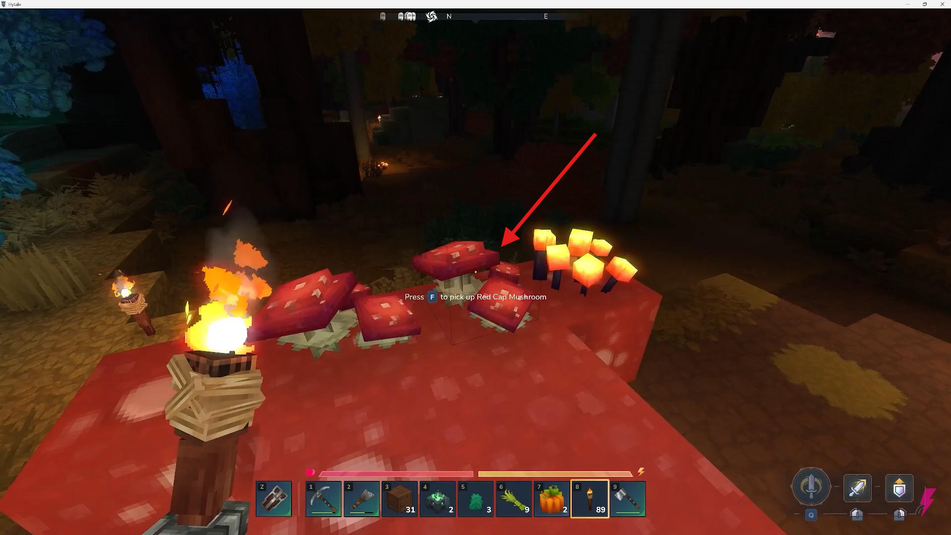 Collect the Mushrooms. Image credits: Hypixel Studios / YouTube: Answer ASAP