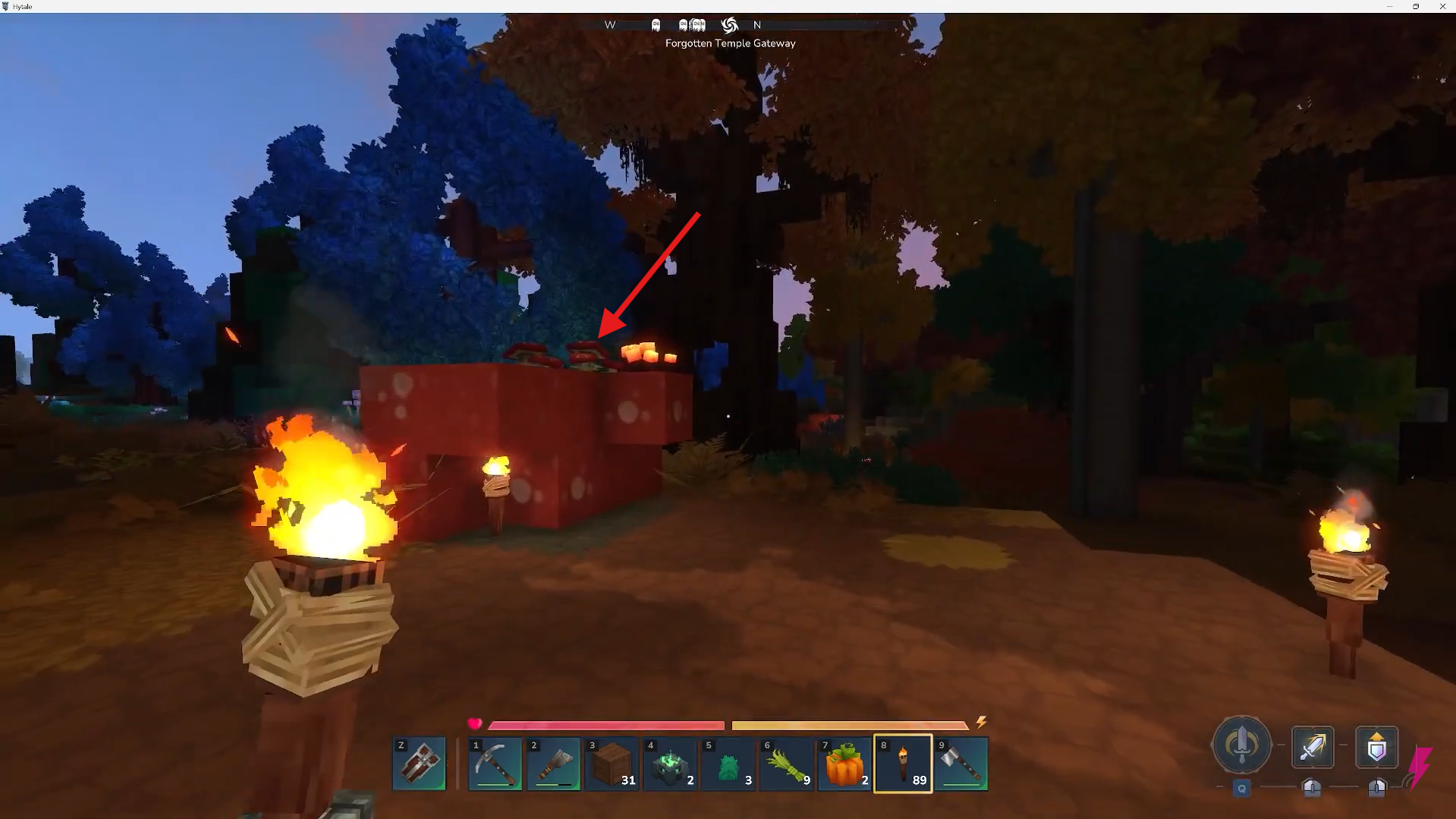 Locate the Mushrooms. Image credits: Hypixel Studios / YouTube: Answer ASAP