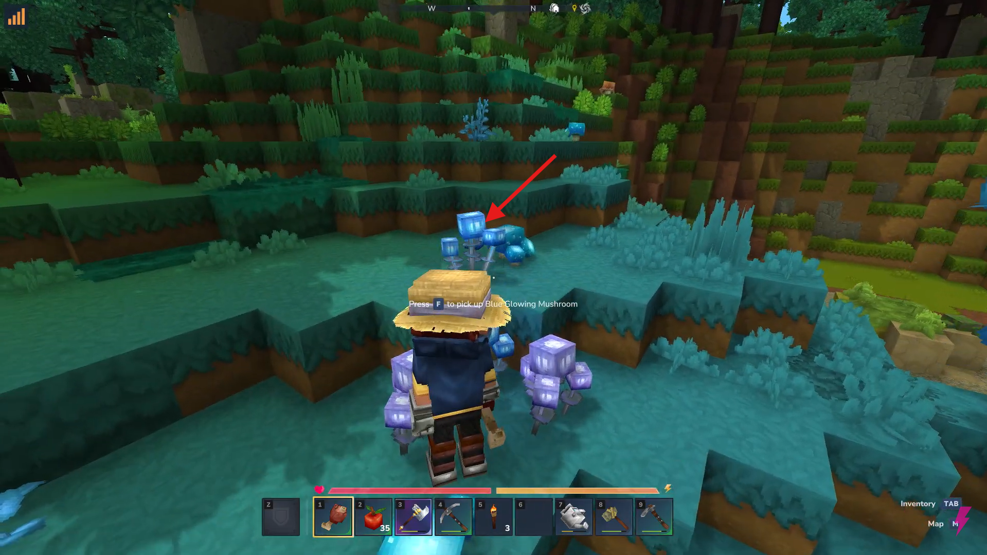 Blue Glowing Mushroom location. Image credits: Hypixel Studios / YouTube: Answer ASAP