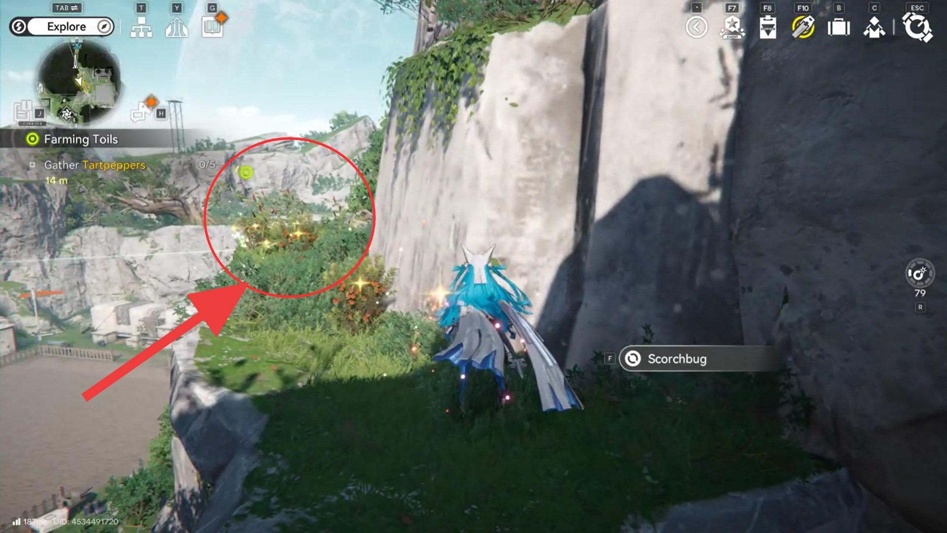 Image credit: Hypergryph / Via: YouTube - ZaFrostPet