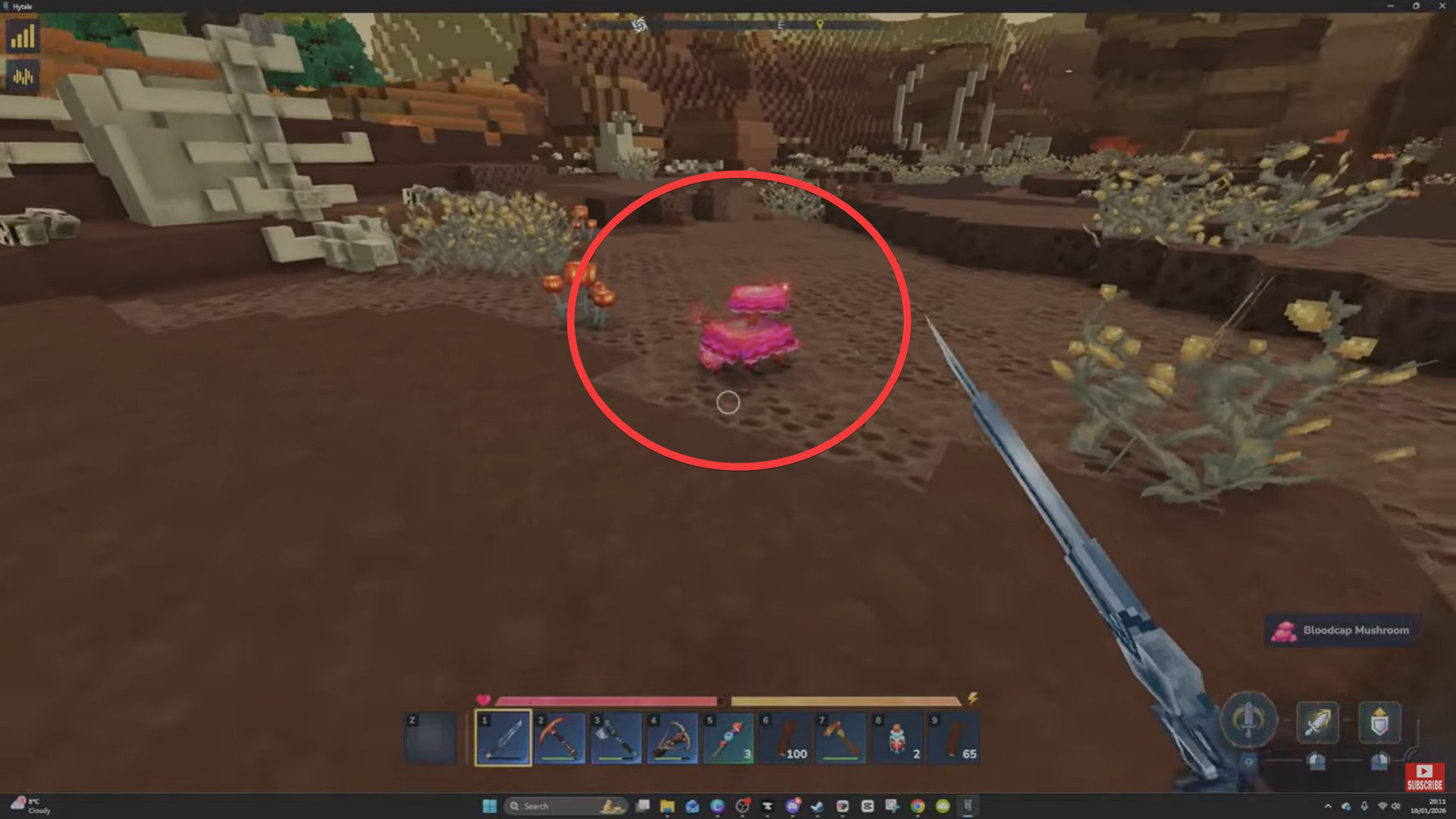 Bloodcap Mushrooms in Hytale (Image credit: Hypixel Studios / Via: YouTube - Javiherobrine)