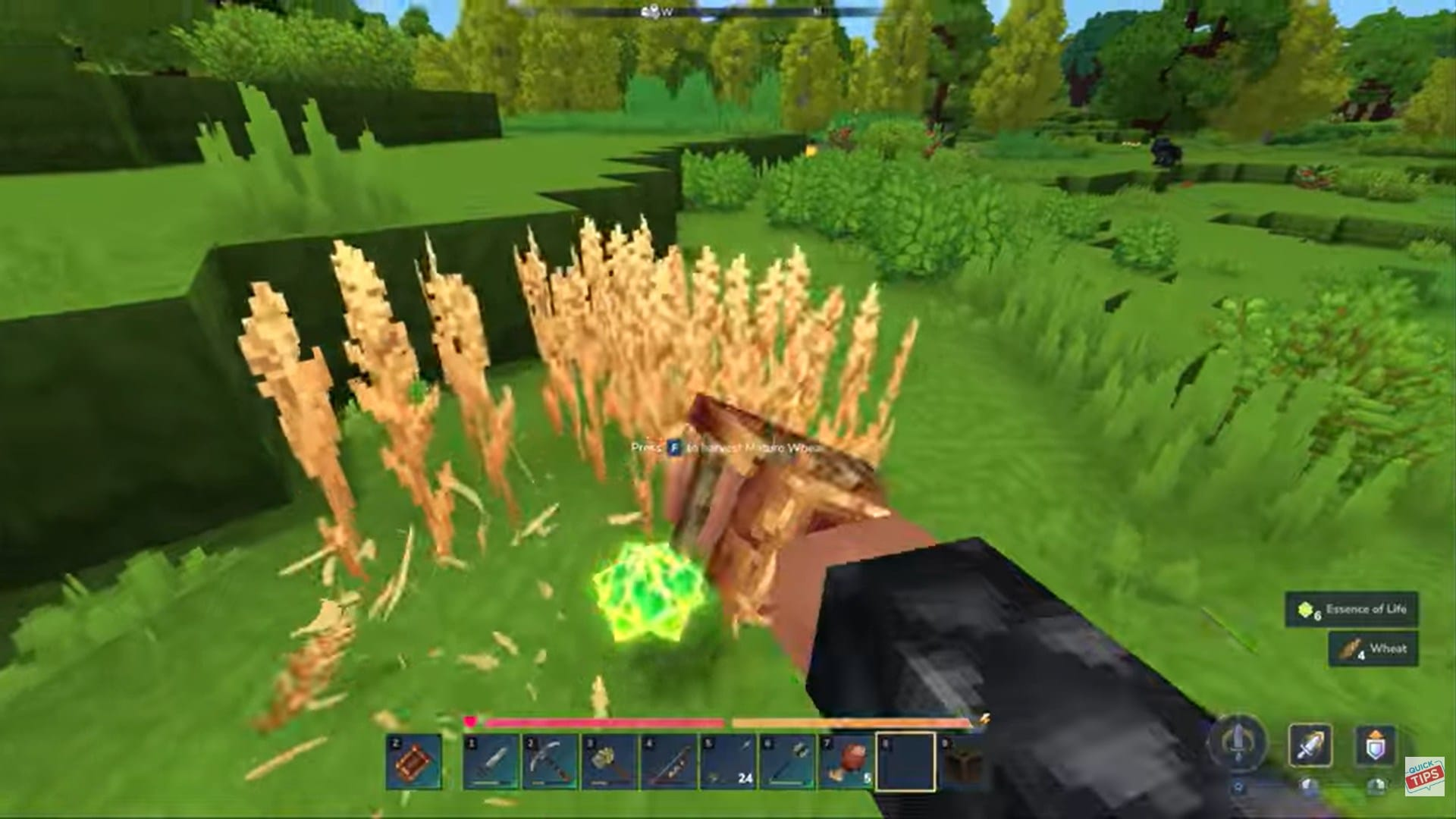 Get Essence of Life in Hytale (Image credit: Hypixel Studios / Via: YouTube – QuickTips)