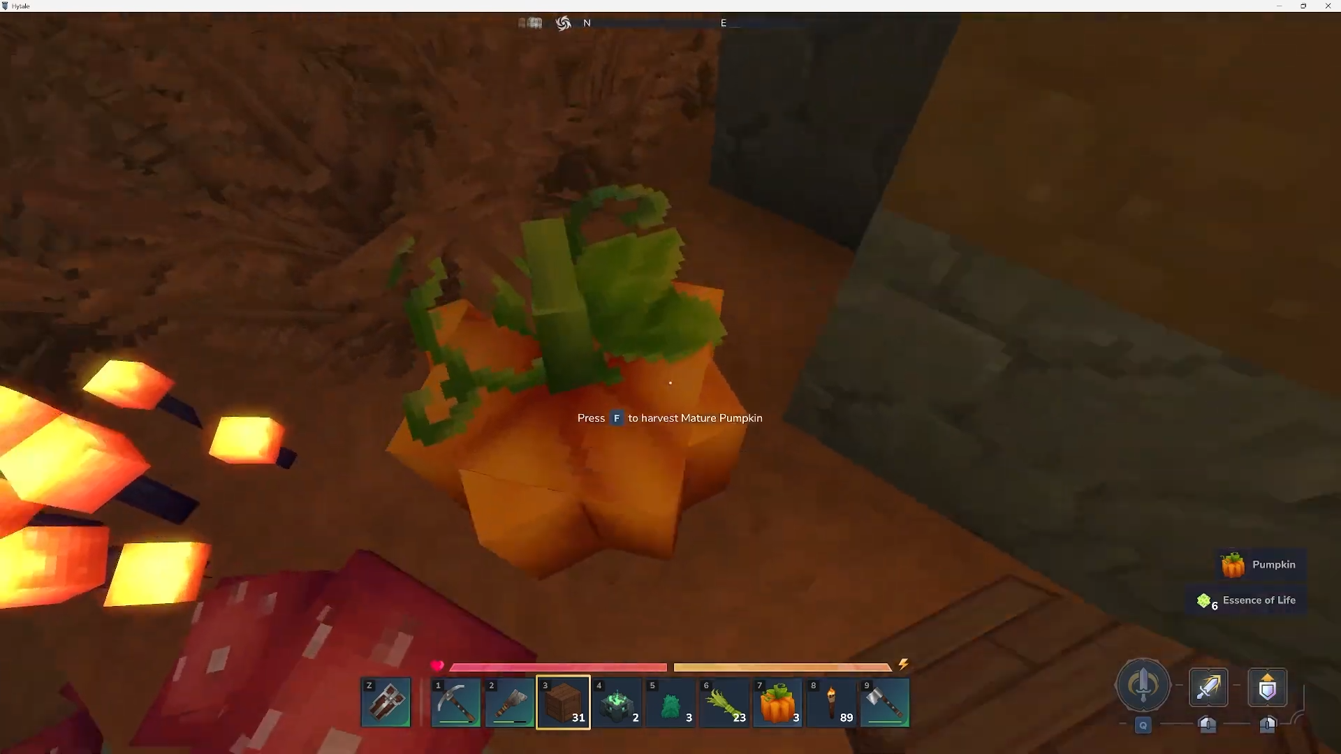 Pumpkins in Hytale (Image credit: Hypixel Studios / Via: YouTube - Answer ASAP)